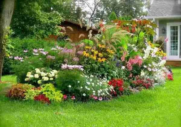 landscape pictures good for website customers LocalWeb Pro