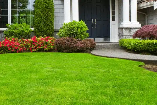 LocalWeb Pro landscape website images
