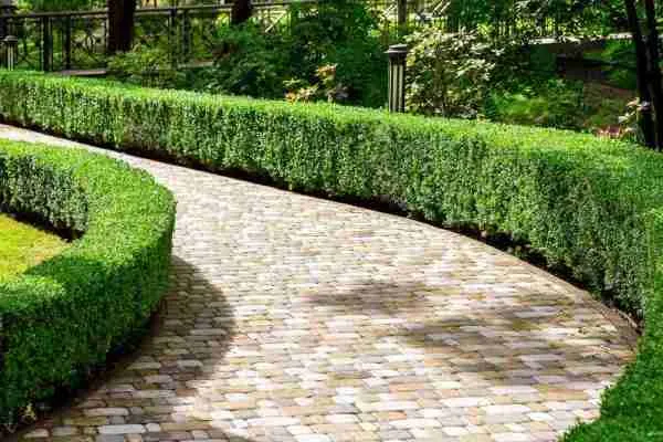 showcase work images landscaping localweb pro