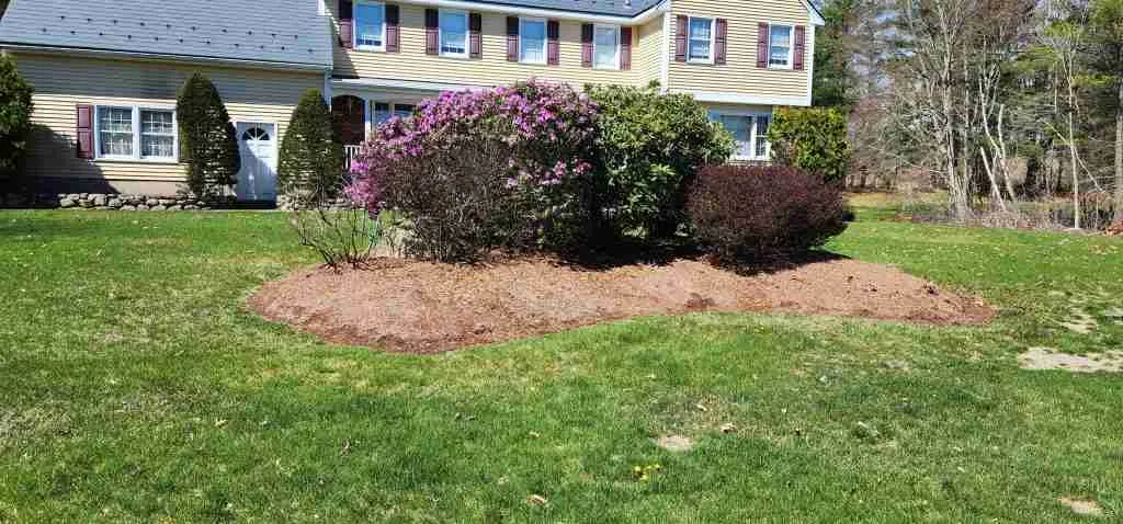 landscape contractor service before and after photos